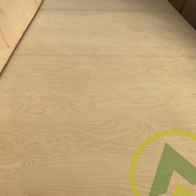 European FR Birch Plywood