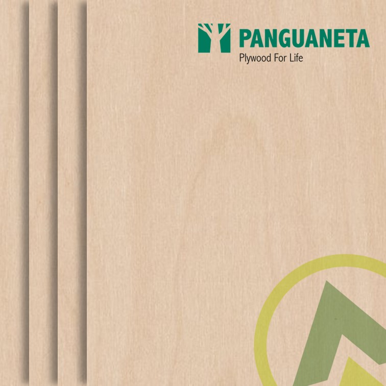 Panguaneta Poplar Throughout Plywood